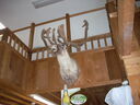 DSCN5749.JPG