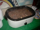 bep090034.JPG