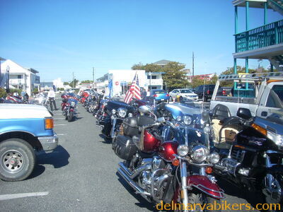 DSCN0403.JPG