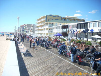 DSCN0431.JPG