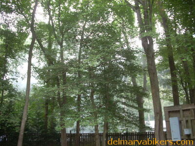 DSCN0314.JPG