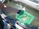 DSCN9951.JPG