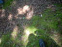 DSCN9956.JPG