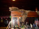 DSCN9970.JPG