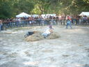 DSCN0846.JPG