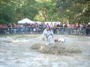 DSCN0848.JPG