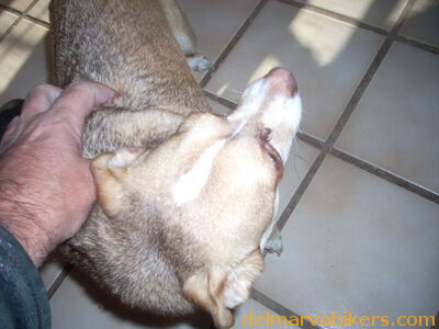 DSCN1227.JPG