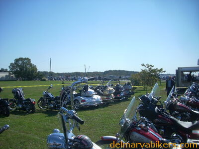 DSCN1263.JPG