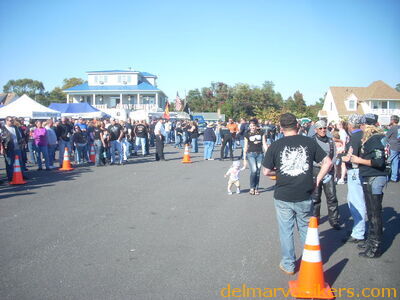 DSCN1295.JPG