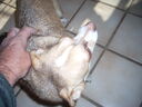 DSCN1227.JPG