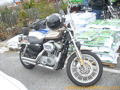 DSCN8985.JPG