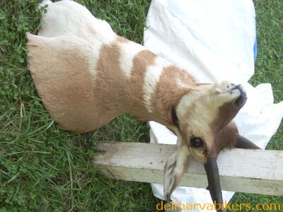 DSCN9337.JPG