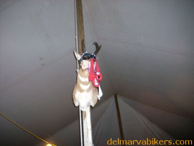 DSCN9486.JPG