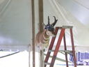 DSCN9362.JPG