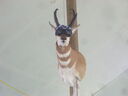 DSCN9365.JPG