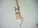 DSCN9368.JPG