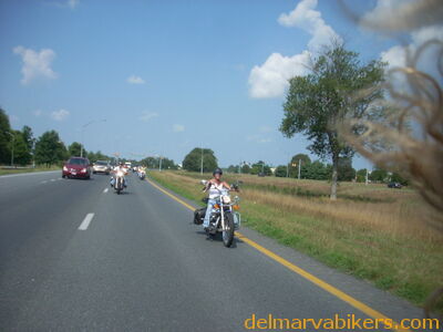 DSCN0134.JPG