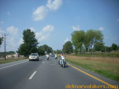 DSCN0135.JPG