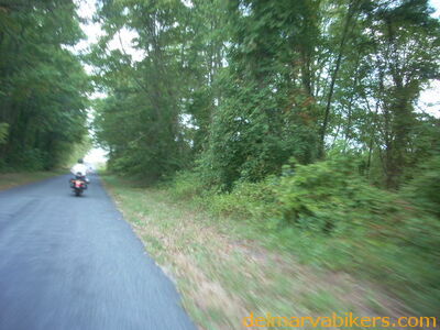 DSCN0147.JPG