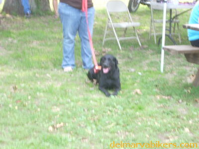 DSCN2540.JPG
