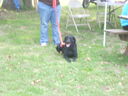 DSCN2540.JPG