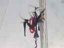DSCN1580.JPG
