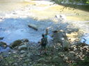 DSCN2336.JPG