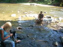 Filename=DSCN2344.JPG
Filesize=118KiB
Dimensions=640x480
Date added=Sep 20, 2026 DSCN2344.JPG