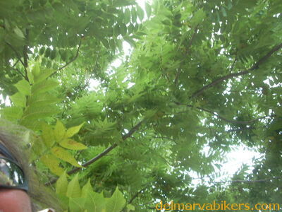 DSCN2289.JPG