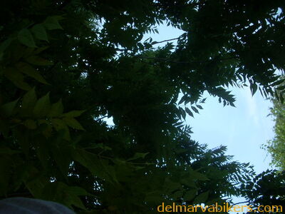 DSCN2290.JPG