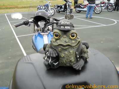 DSCN0201.JPG