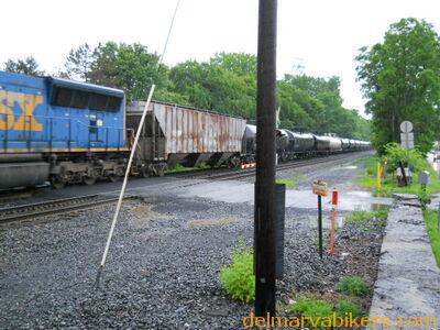 DSCN0345.JPG