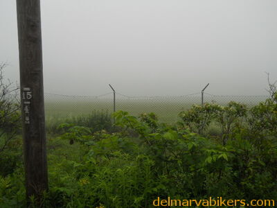 DSCN0378.JPG