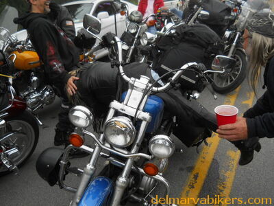 DSCN0379.JPG