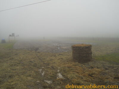 DSCN0447.JPG