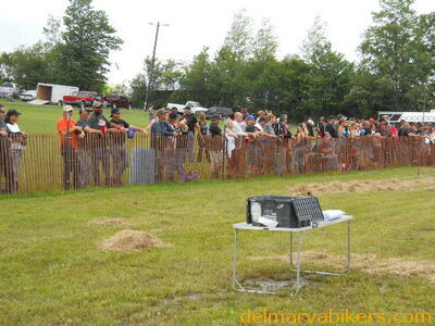 DSCN0502.JPG