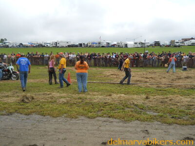 DSCN0518.JPG