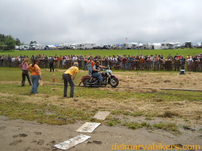 DSCN0519.JPG