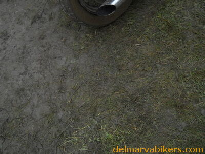 DSCN0577.JPG