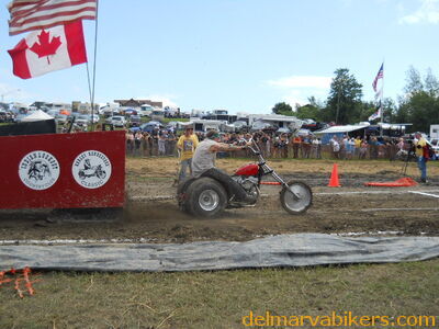 DSCN0781.JPG