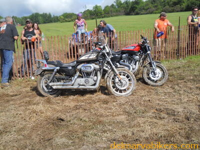 DSCN0798.JPG