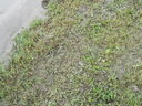 DSCN0517.JPG