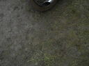 DSCN0577.JPG