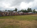DSCN0654.JPG