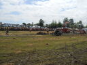 DSCN0699.JPG