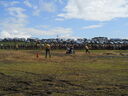 DSCN0750.JPG