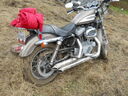 DSCN0806.JPG