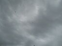 DSCN0834.JPG