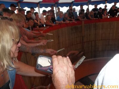 100_1637.JPG