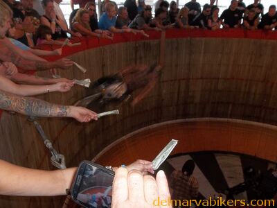 100_1638.JPG